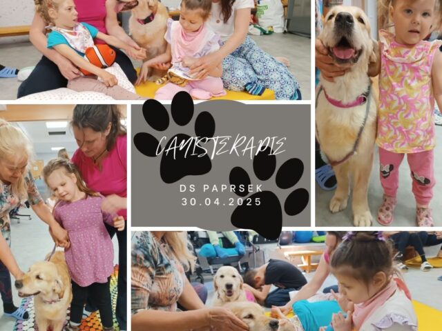Canisterapie – DS PAPRSEK 30.04.205